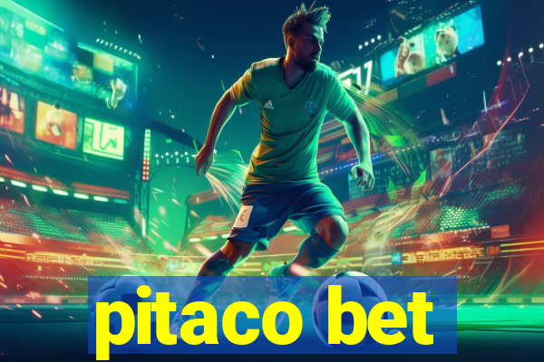 pitaco bet